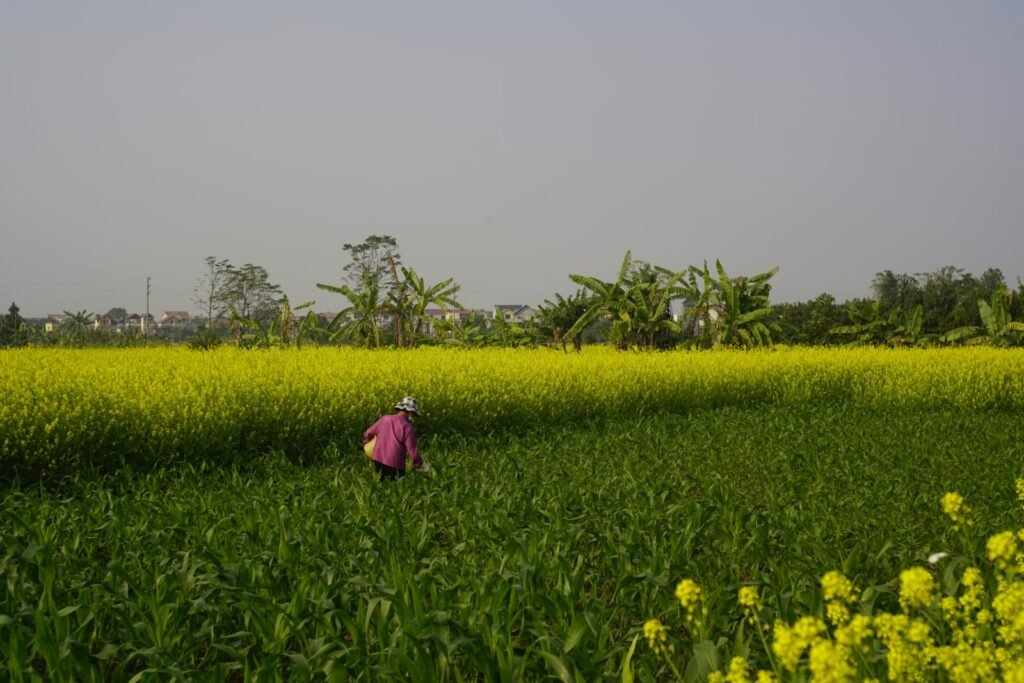 PM Kisan 22th Kist Kab Aayegi 